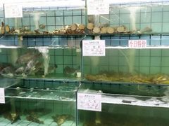 android_upload_pic-海岛渔村大酒店(云霄路店)