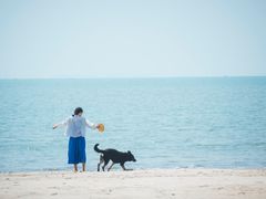 -汕尾风车岛