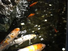 -功德林(南京西路店)