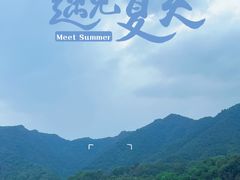 -龙坞茶村