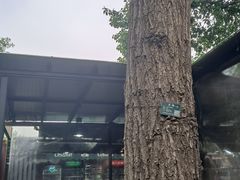 -前门杨记·铜锅涮肉(王府井·故宫店)