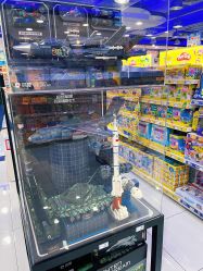 -玩具反斗城(正大广场店)
