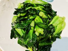 -小小饭店·休闲农庄·安吉松树林里的农家菜