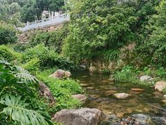 -雁南飞茶田景区