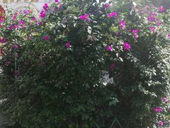 -玉林生活广场