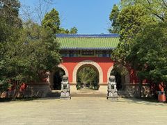 -灵谷景区