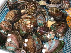 -港畔赶海蒸汽海鲜烧烤自助(仙螺岛店)