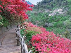 -木兰云雾山
