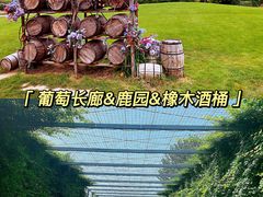 -沉浸北京·团建旅行·密室剧本杀·年会会议轰趴拓展