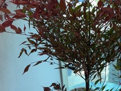 -福田卓悦INTOWN购物中心