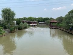 -宏泰园蔬果专业合作社
