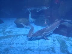 -海合安成都极地海洋公园