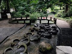 -成都市活水公园