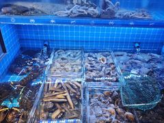 -老妈疙瘩汤·平价海鲜专门店·老威海菜(渔港路店)