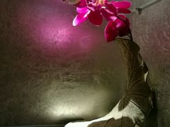 -大唐盲人按摩中心(黄山路店)