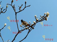 -烈士陵园(地铁站)