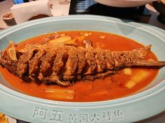 -阿五黄河大鲤鱼(英协路店)