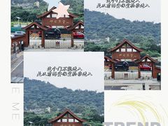 -广州神农草堂中医药博物馆