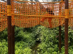 -呀路古热带植物园