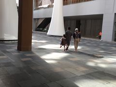 -三亚湾红树林度假世界(木棉酒店)