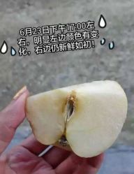 英树玻尿酸羊胎素化妆品-英树玻尿酸羊胎素专营化妆品