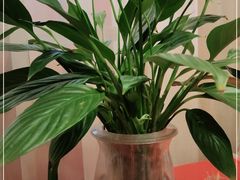 -小蓝鲸湖北菜(八一路店)