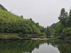 -夏霖九天银瀑风景区