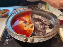 寿喜锅+麻辣锅-温禾牛·和牛寿喜烧自助火锅(恒基名人店)