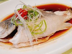-皇冠明珠鱼翅楼(水上公园店)
