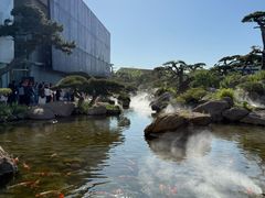 -罗红摄影艺术馆