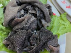 毛肚-贵宾牛·潮汕牛肉火锅(珠池总店)