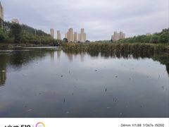 -前关湿地公园