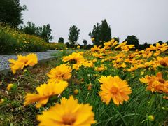 -汉长安城未央宫国家考古遗址公园