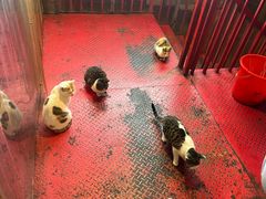 -李不管把把烧(合肥总店)