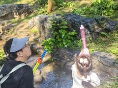 -北宫国家森林公园
