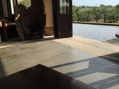 -三亚国光豪生度假酒店-椰语堂(国光豪生店)