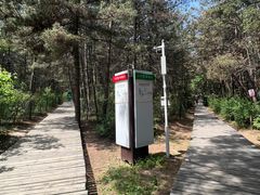 -帽儿山国家森林公园