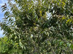 -永定河休闲森林公园