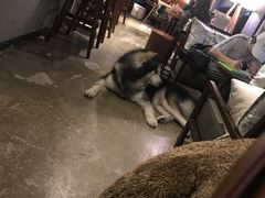 -咖法森林·咖啡  酒吧(天河店)