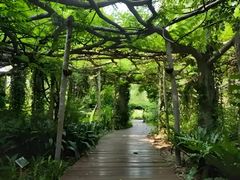-广西壮族自治区药用植物园
