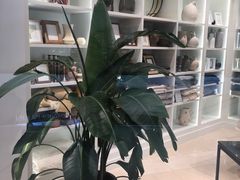 -ZARA HOME(天环广场店)