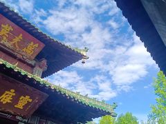 -阆辣荟餐饮(老味道8年·古城店)