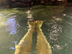 -东山湖温泉度假村