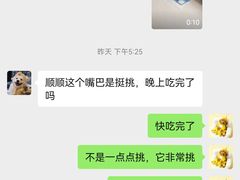 -翊宠yipet猫狗购宠庄园犬舍•猫舍