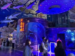 -烟台海昌鲸鲨海洋公园