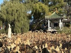 -北陵公园