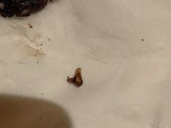 -绮梦西湖·云端餐厅(歌德店)