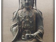 -平原博物院