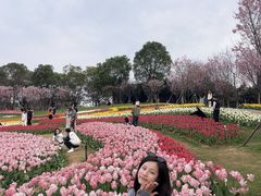 -凤凰沟景区