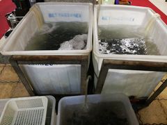 -金海椒罐罐鲢鱼(东方桂苑店)